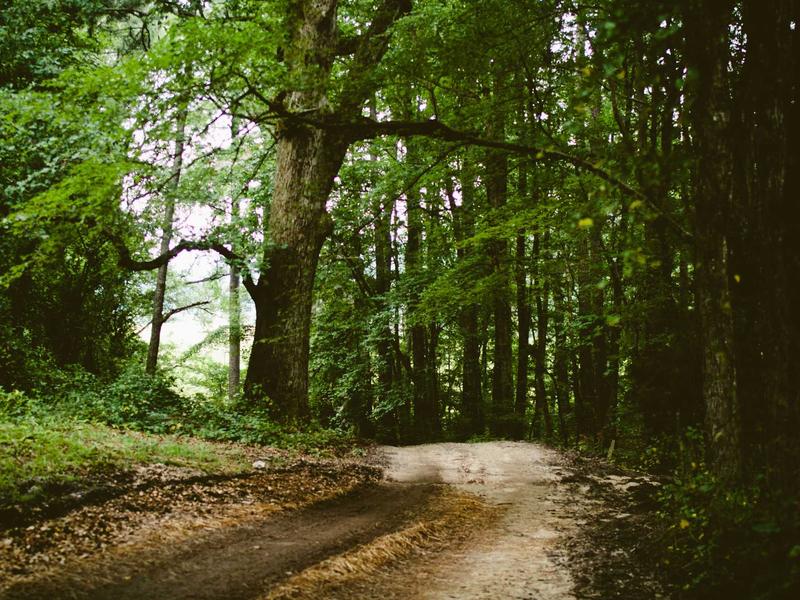 sudoku mental gym screenshot 5